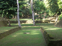 Nim Li Punit