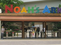 Noah's Ark