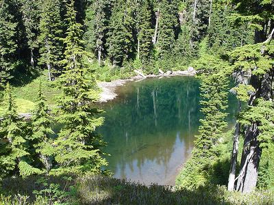 Noisy-Diobsud Wilderness