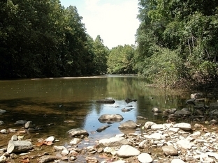 North Branch Patapsco River