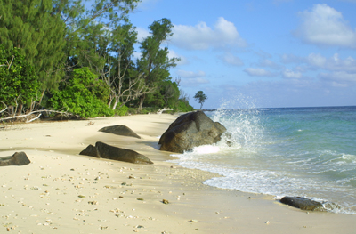 North East Point