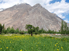 Best of Ladakh Best of Ladakh