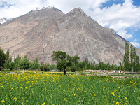 Best of Ladakh