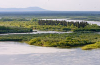 Nushagak River Nushagak River