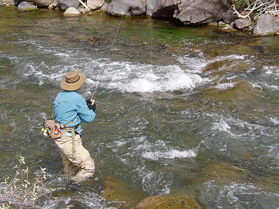 Gardner River