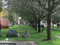 Nasher Sculpture Center