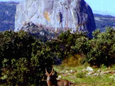 Nyanga National Park