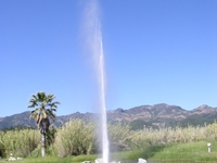 Calistoga