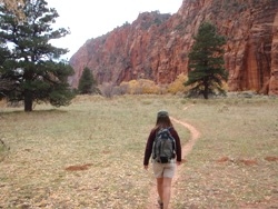 Open Bottom Canyon