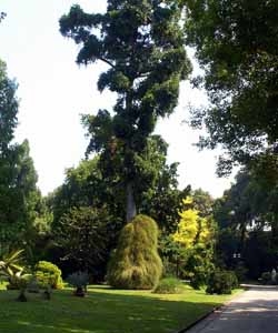 Botanical Garden of Naples