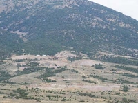 Osceola