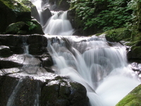 Oirase River