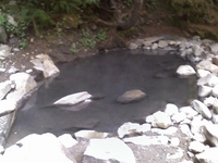 Olympic Hot Springs