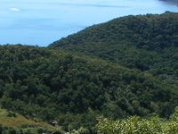 South Molle Island