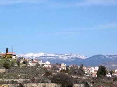 Pachna