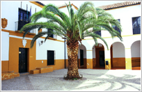 Palace of the Munices Family