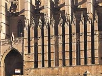 Palma Palma