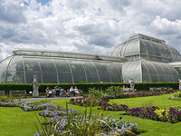 Palm House