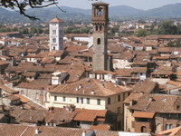 Lucca