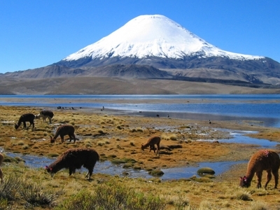 Lauca National Park