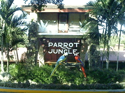 Jungle Island