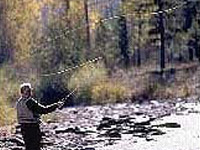 Patuxent River