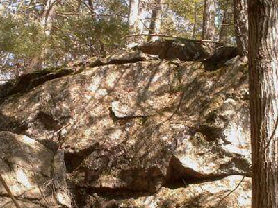 Paugnut State Forest
