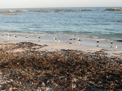 Pearly Beach Pearly Beach