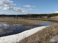 Pelican Creek Nature Trail