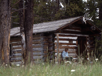 Pelican Creek Patrol Cabin