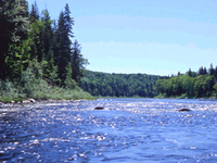 Penobscot River Corridor Penobscot River Corridor