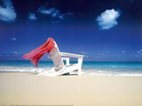 Perfect Breeze Travel Agency [Posted By - Taheerah Mack-Jones]