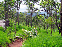 Phu Wiang National Park Phu Wiang National Park