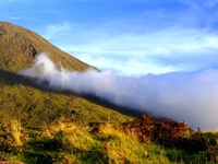 Pico Island Pico Island