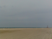 Pinedo Pinedo
