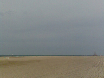 Pinedo