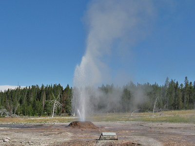 Pink Geyser Pink Geyser