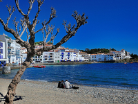 Playa Nova