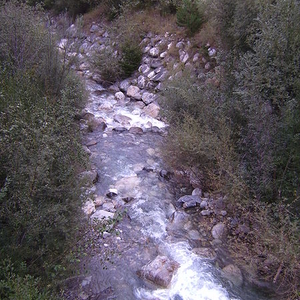 Plima
