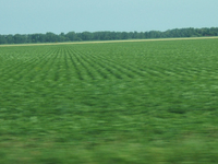 Portage La Prairie
