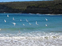 Port Campbell Port Campbell