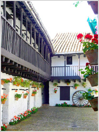 Potro Inn