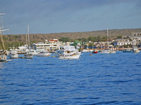 Puerto Ayora Puerto Ayora