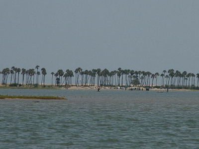 Pulicat Lake