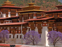 Punakha Dzong Punakha Dzong
