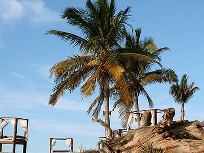 Punta Mita