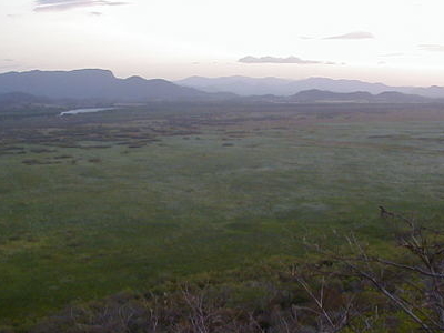 Palo Verde National Park