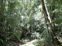 Paluma Range National Park