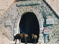 Col Du Parpaillon