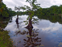 Punta Izopo Wildlife Refuge
